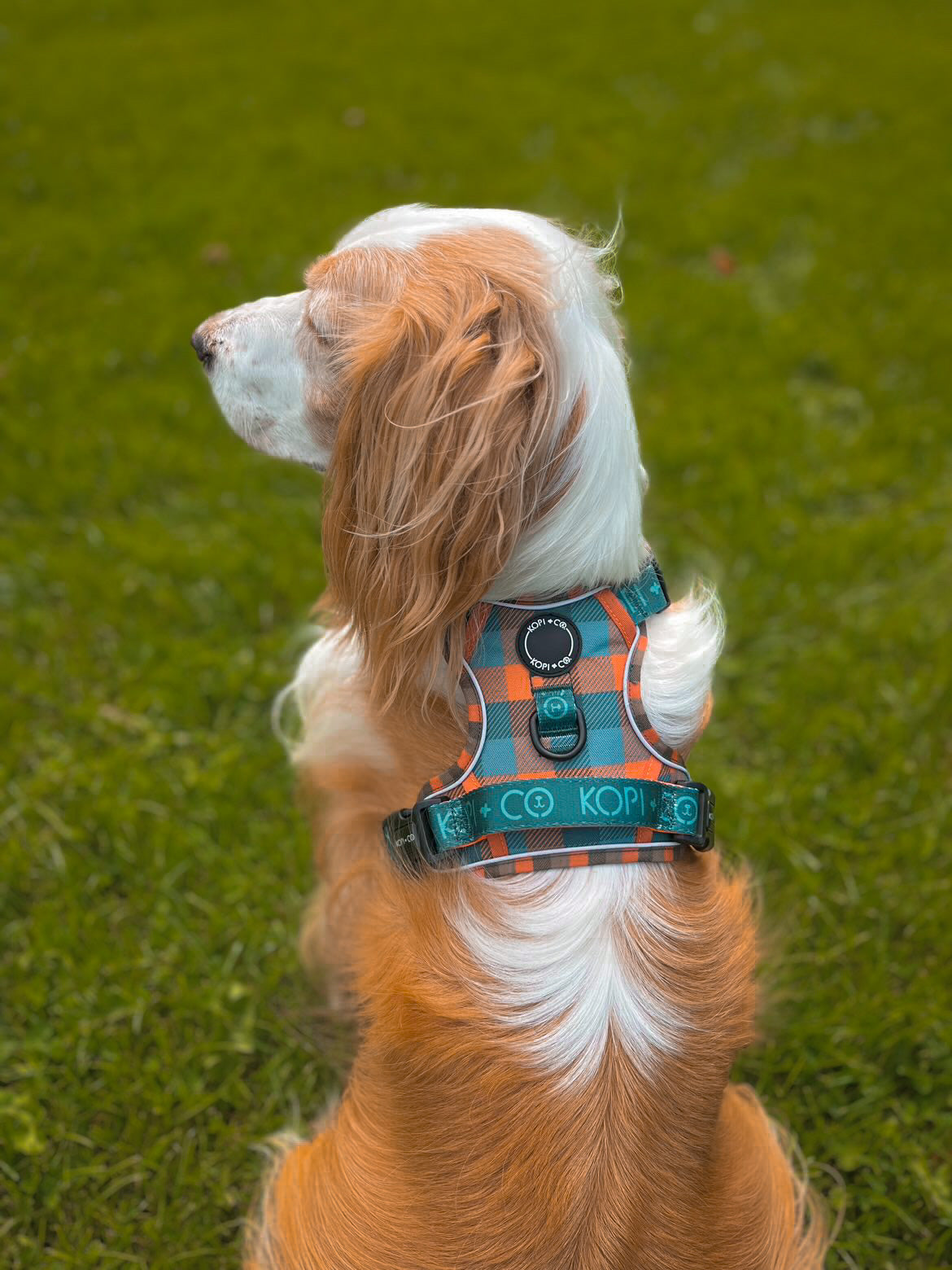 Barking Plaid | Ultimutt Tough Harness