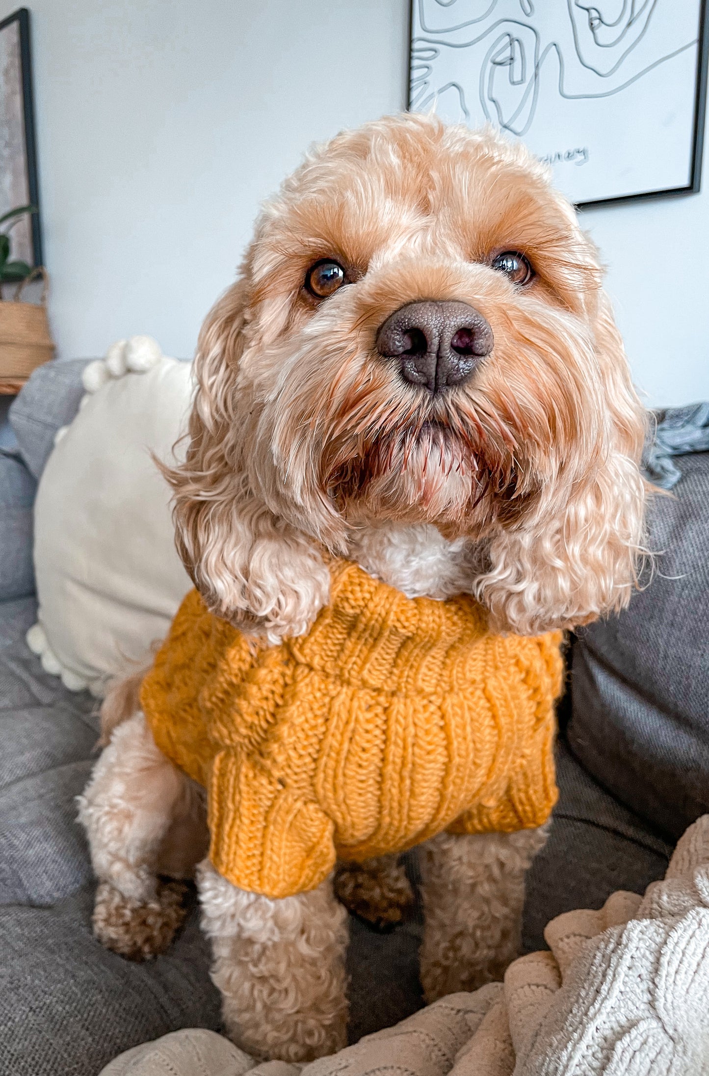 Hand-knitted Jumper - Mustard