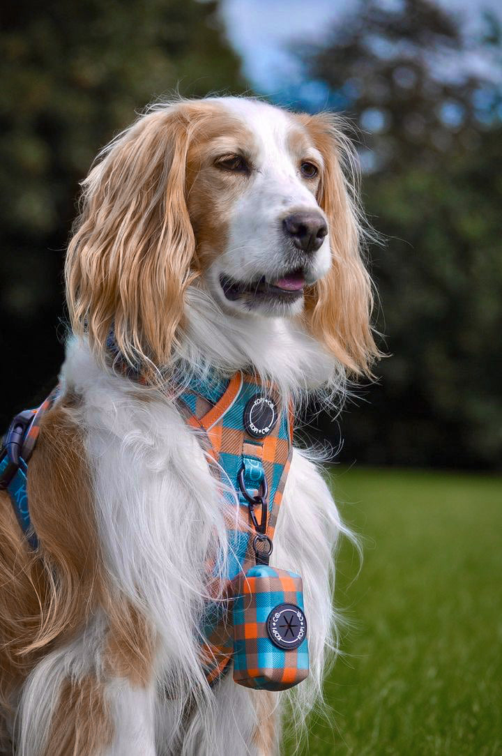 Barking Plaid | Ultimutt Tough Harness