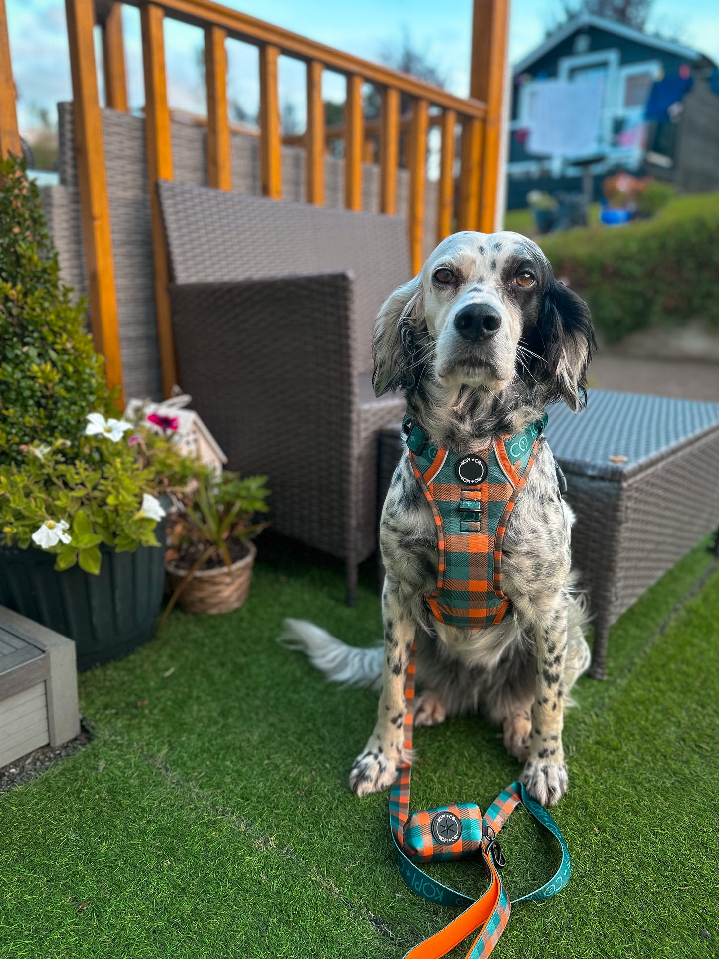 Barking Plaid | Ultimutt Tough Harness