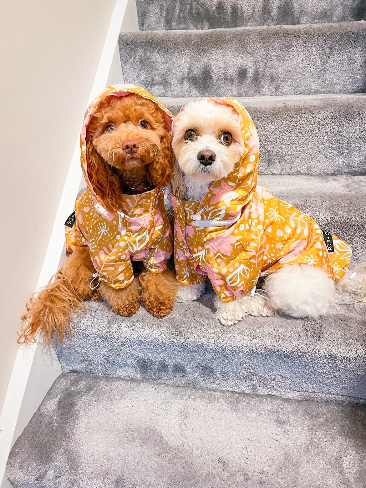 Reversible Raincoat | Little Pupkin