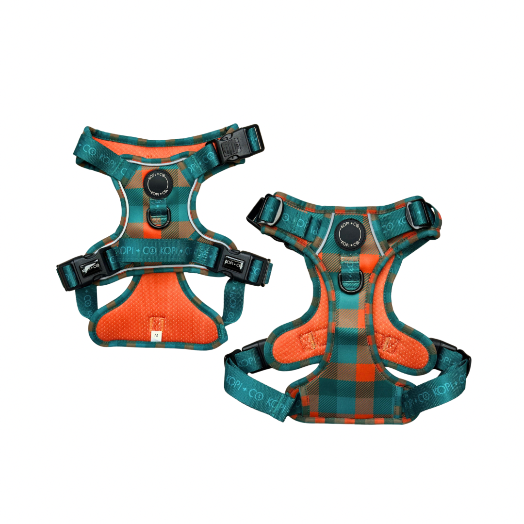 Barking Plaid | 3-Point Harness