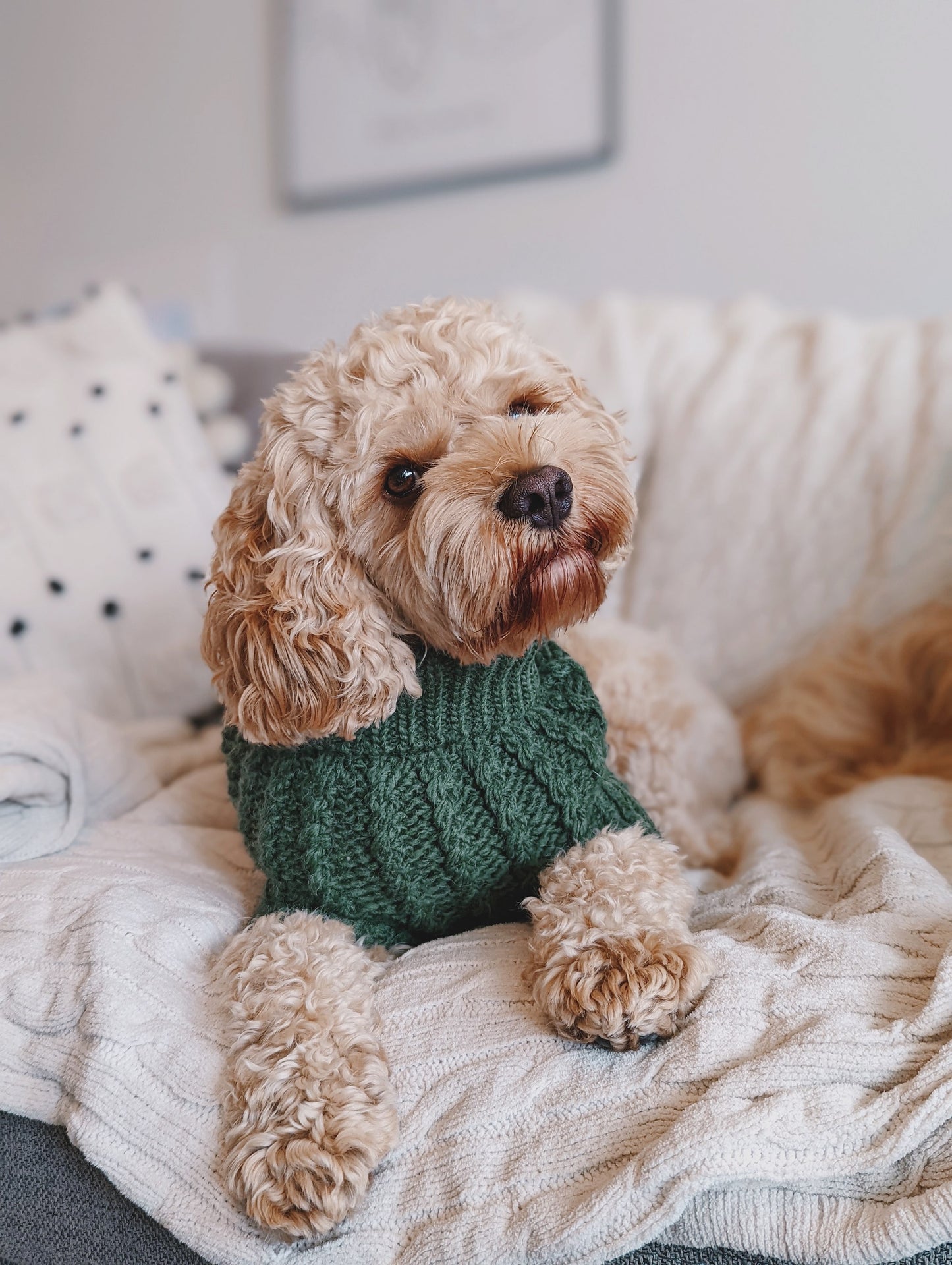 Hand-knitted Jumper - Forest Green