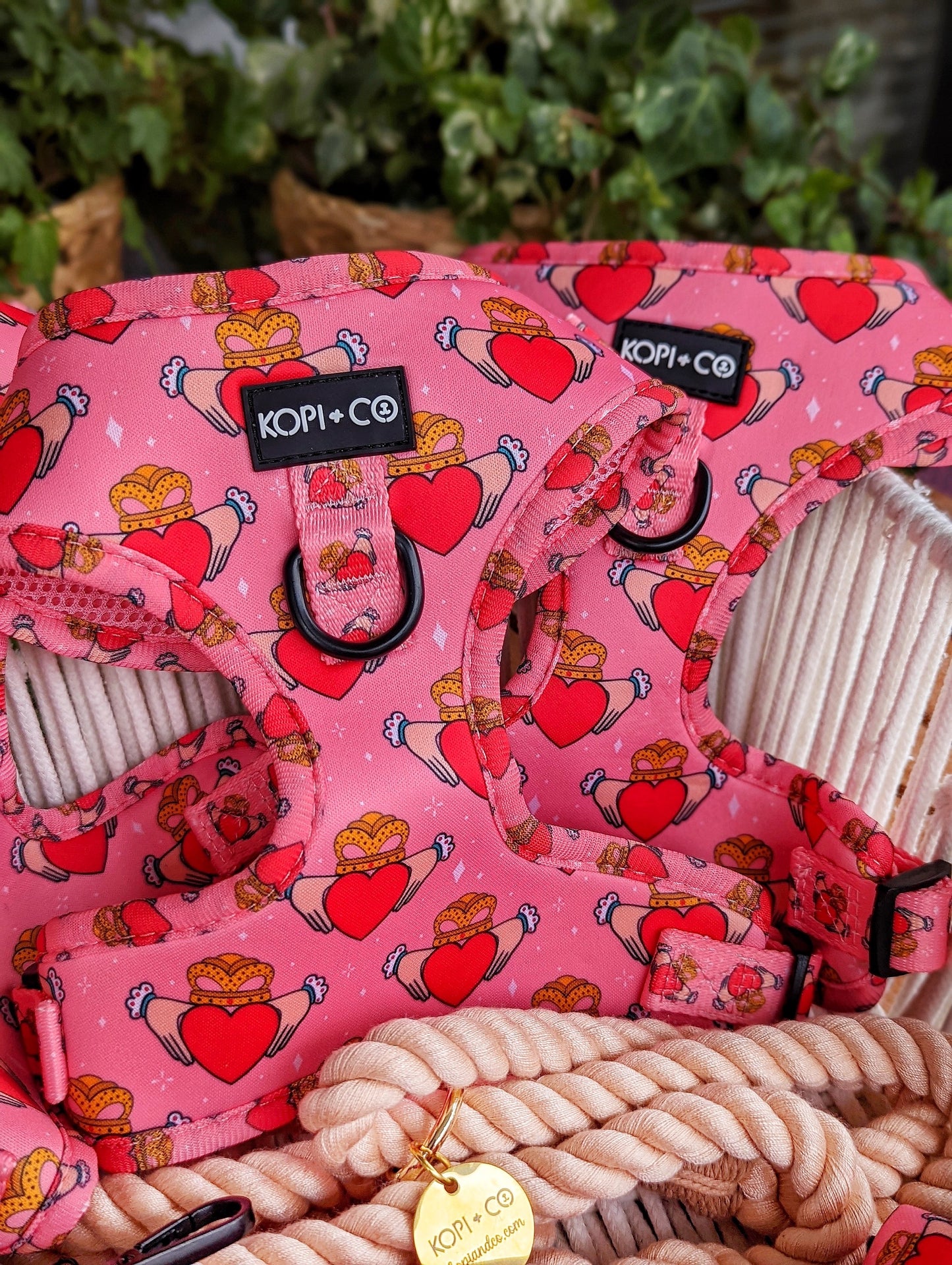 Claddog | Adjustable Harness