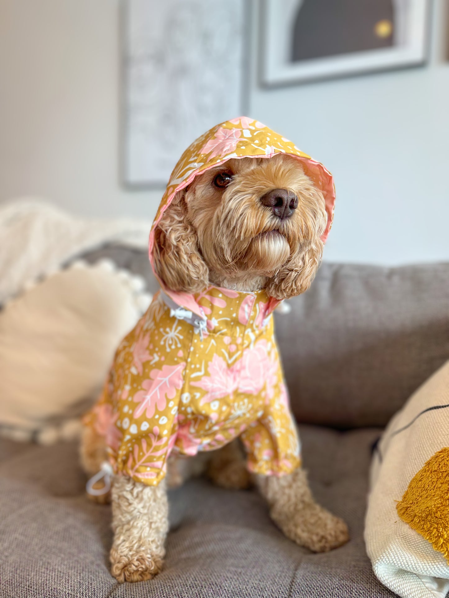 Reversible Raincoat | Little Pupkin