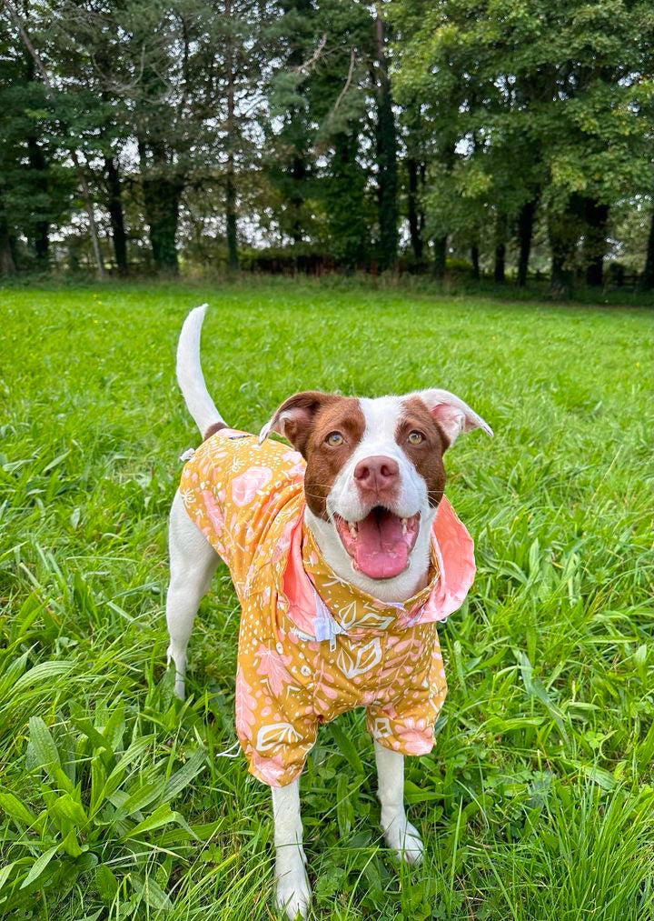 Pitbull raincoat outlet