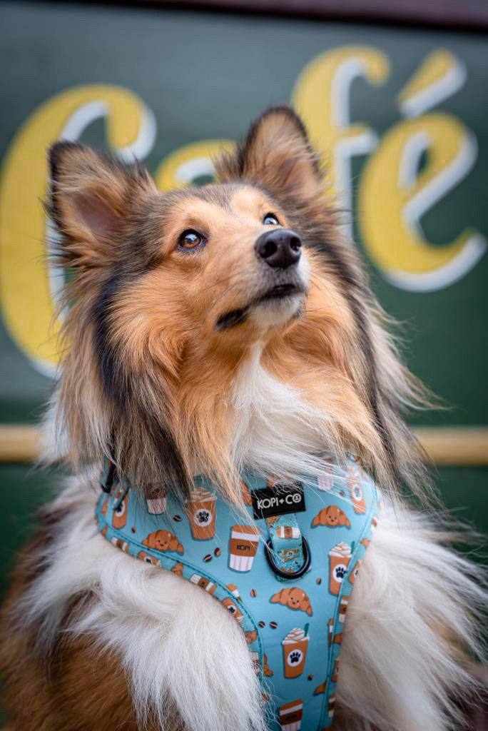 Pawfect Blend | Adjustable Harness